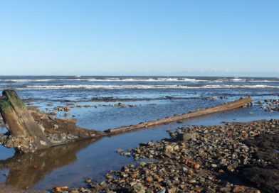 Shipwreck surfaces on Redcar beach after Storm Shipwreck surfaces on Redcar beach after Storm